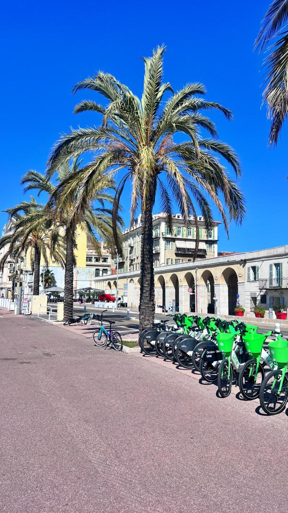 דירות ניס L'Azur Plaisance מראה חיצוני תמונה